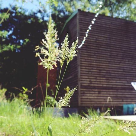 Hotel Tiny House Nouvelle Annonce Boho Ocean à Naujac-sur-Mer Extérieur photo